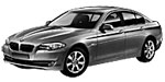 BMW F10 P141E Fault Code